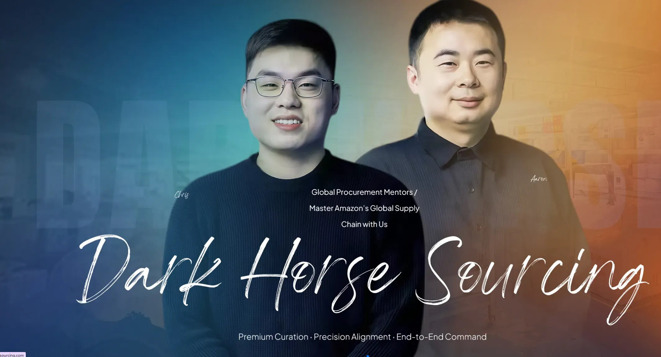 Panoramica sull'approvvigionamento: tipi, processi e strategie spiegati da Darkhorse Sourcing